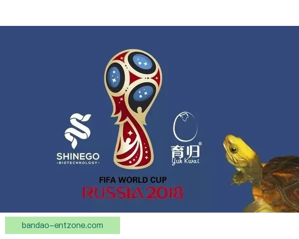 畅享世界杯激情，下载竞猜APP，预测赛果赢丰厚奖励，立即参与挑战！